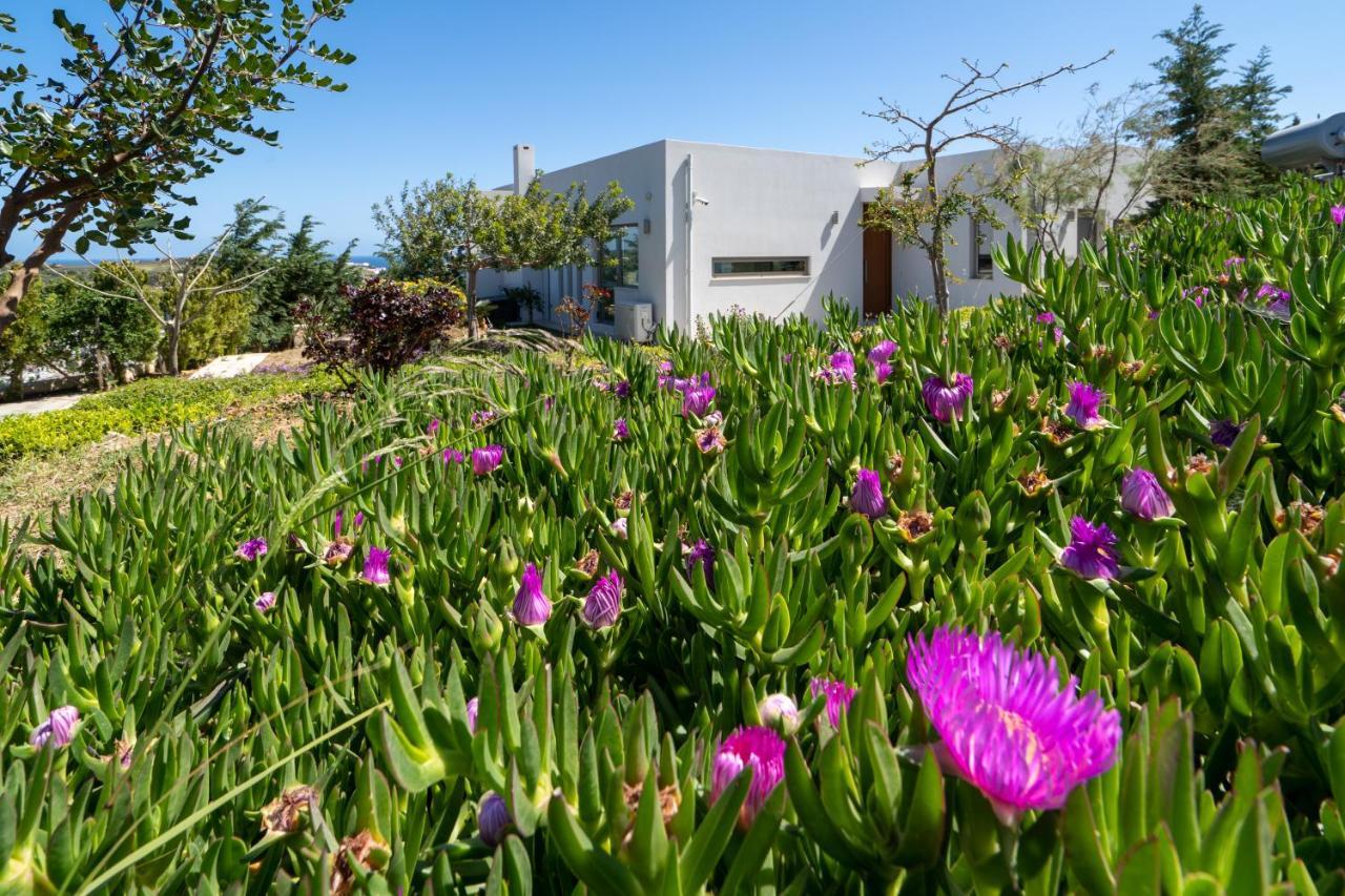 Sea View Villas Agia Pelagia Kythira المظهر الخارجي الصورة